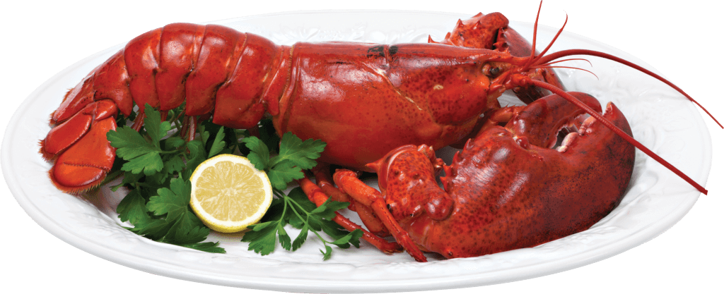 Whole Lobster on a plate